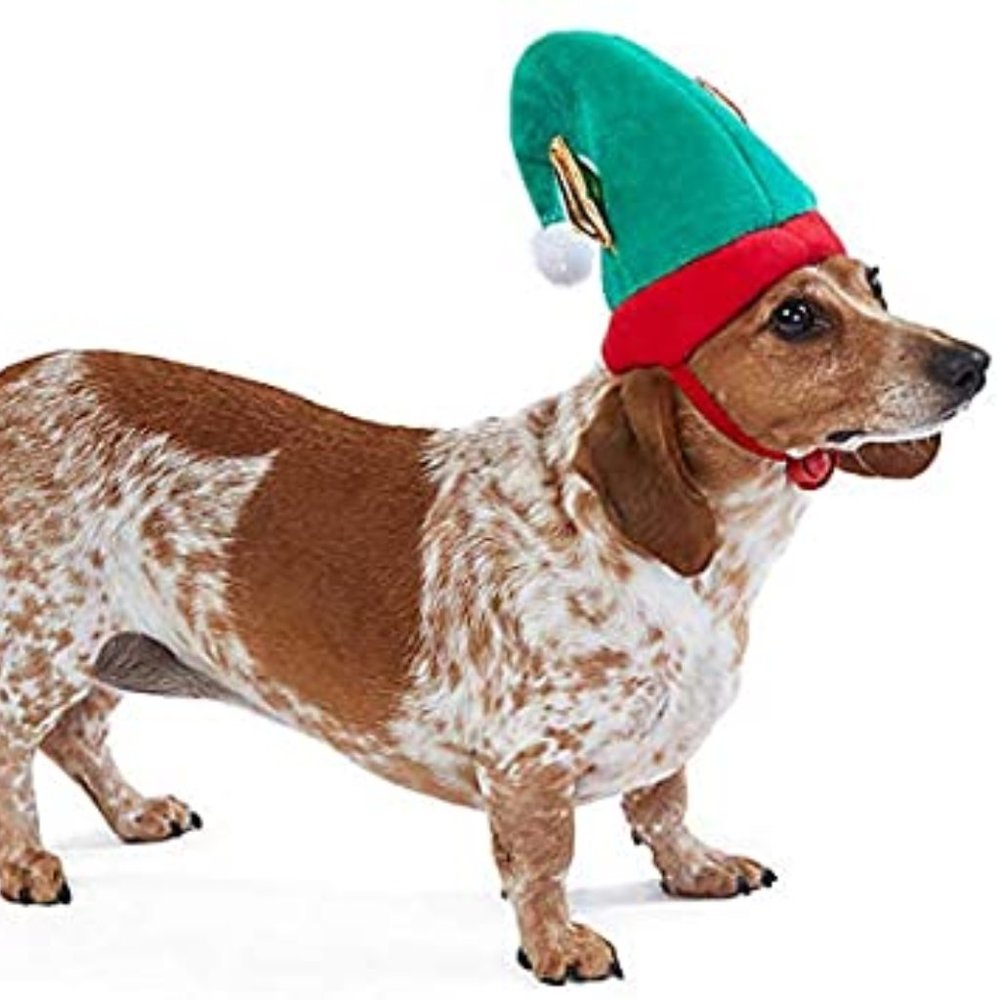 NWT Merry & Bright Christmas Holiday Elf Costume Dog Hat L/XL
